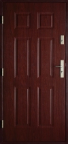 Lauko durys P6NL