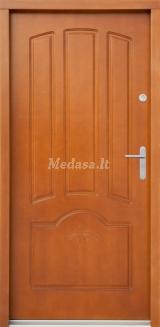 Lauko durys P038