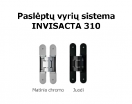 baranski-lauko-duru-paslepti-vyriai-invisacta