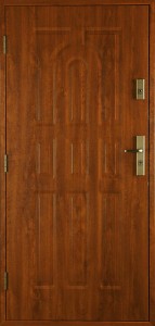 P9NL modelio durys 10881